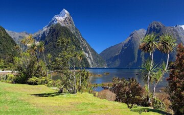 Wildest New Zealand: Guida TV  - TV Sorrisi e Canzoni
