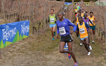 Cross della Val Lagarina: Guida TV  - TV Sorrisi e Canzoni