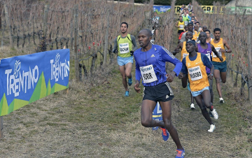 Cross della Vallagarina: Guida TV  - TV Sorrisi e Canzoni