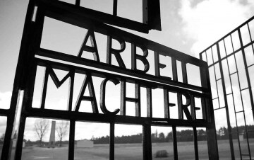 Sachsenhausen, le due facce di un campo: Guida TV  - TV Sorrisi e Canzoni