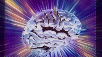 Pleasure and Pain: la scienza del desiderio: Guida TV  - TV Sorrisi e Canzoni