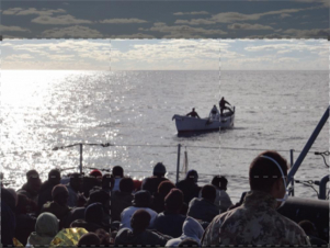 Sea of Shadows: trafficanti di mare: Guida TV  - TV Sorrisi e Canzoni