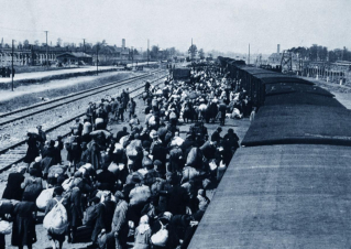 Bombe su Auschwitz: Guida TV  - TV Sorrisi e Canzoni