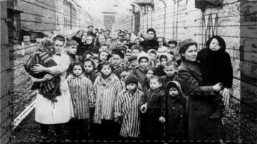 Gli eroi della memoria: Guida TV  - TV Sorrisi e Canzoni