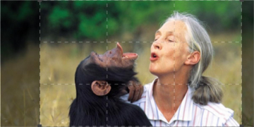 Jane Goodall - Un futuro per la Terra: Guida TV  - TV Sorrisi e Canzoni