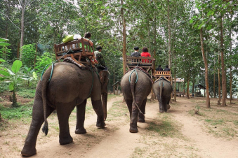 Mahout - La pista degli elefanti: Guida TV  - TV Sorrisi e Canzoni