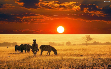 Africa segreta: Guida TV  - TV Sorrisi e Canzoni