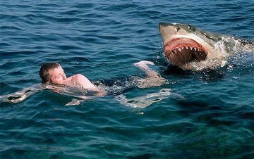 Shark Attack: Guida TV  - TV Sorrisi e Canzoni