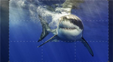 Gli uomini del mare: Guida TV  - TV Sorrisi e Canzoni