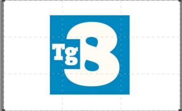 TG8: Guida TV  - TV Sorrisi e Canzoni