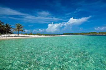 Wild Caraibi: Guida TV  - TV Sorrisi e Canzoni