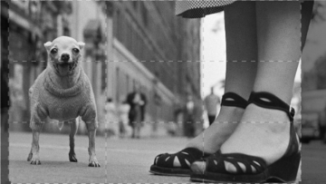 Elliott Erwitt, il silenzio ha un bel suono: Guida TV  - TV Sorrisi e Canzoni