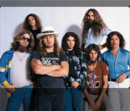 Lynyrd Skynyrd - La band che visse due volte: Guida TV  - TV Sorrisi e Canzoni