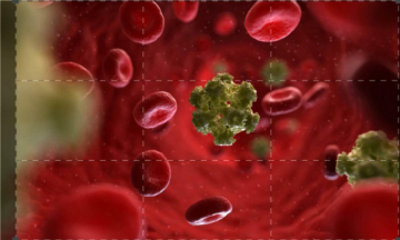 Dall'ebola al coronavirus: infezioni virali: Guida TV  - TV Sorrisi e Canzoni