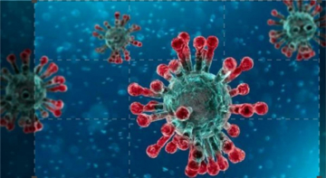 Coronavirus: le ultime scoperte: Guida TV  - TV Sorrisi e Canzoni