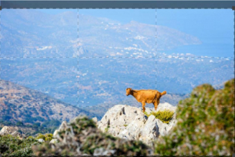 Il Lato Selvaggio Della Grecia: Guida TV  - TV Sorrisi e Canzoni