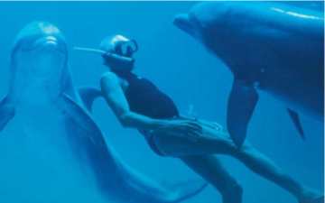 Dolphin Man - L'uomo delfino: Guida TV  - TV Sorrisi e Canzoni
