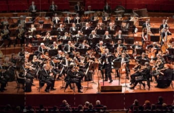 Sciarrino-Stravinskij: Guida TV  - TV Sorrisi e Canzoni