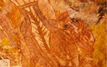 Il diario australiano: Guida TV  - TV Sorrisi e Canzoni
