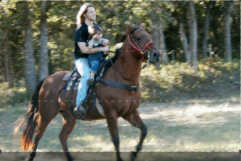 The Horse Boy - Ippoterapia per mio figlio: Guida TV  - TV Sorrisi e Canzoni