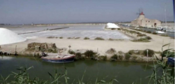 Briciole sul mare: Guida TV  - TV Sorrisi e Canzoni