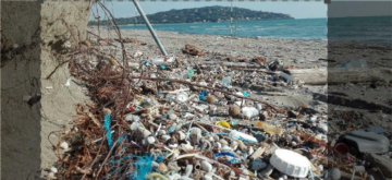 Saving Our Planet: Guida TV  - TV Sorrisi e Canzoni