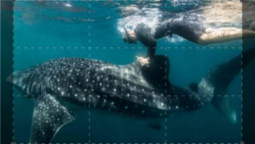 Heroes of the Oceans: Guida TV  - TV Sorrisi e Canzoni
