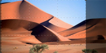Immensa Africa: Guida TV  - TV Sorrisi e Canzoni