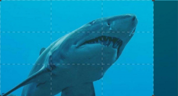 Ninja Sharks: la rivolta dei mutanti: Guida TV  - TV Sorrisi e Canzoni