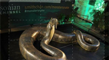 Obiettivo Mondo - Titanoboa: Guida TV  - TV Sorrisi e Canzoni