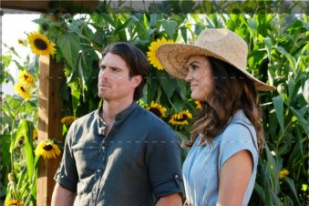 Un amore a Sunflower Valley: Guida TV  - TV Sorrisi e Canzoni