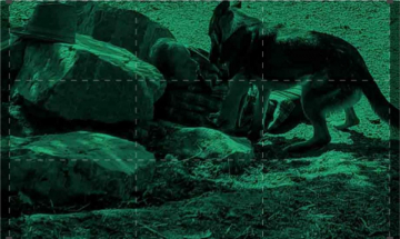 Musica e...fauna: Guida TV  - TV Sorrisi e Canzoni