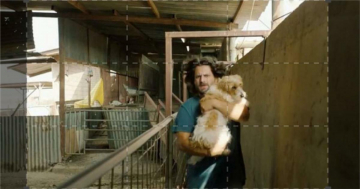 Torna a casa, Jimi!: Guida TV  - TV Sorrisi e Canzoni