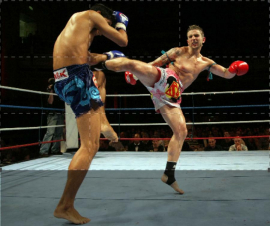 Evolution Fight Invernale: Guida TV  - TV Sorrisi e Canzoni