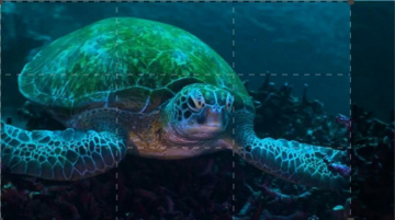 Il leggendario regno di Komodo: Guida TV  - TV Sorrisi e Canzoni