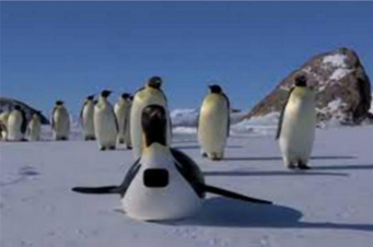 Penguins: Spy in the Huddle - Il mondo dei pinguini: Guida TV  - TV Sorrisi e Canzoni