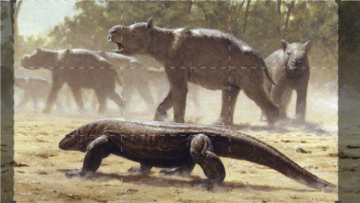 Il leggendario regno di Komodo: Guida TV  - TV Sorrisi e Canzoni