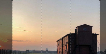 24 ore ad Auschwitz: Guida TV  - TV Sorrisi e Canzoni