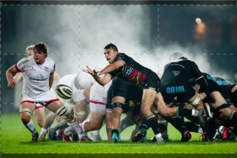 United Rugby Championship: Zebre-Vodacom Bulls: Guida TV  - TV Sorrisi e Canzoni