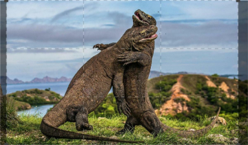 Il leggendario regno di Komodo: Guida TV  - TV Sorrisi e Canzoni