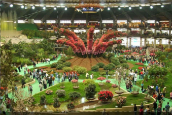 Euroflora: Guida TV  - TV Sorrisi e Canzoni