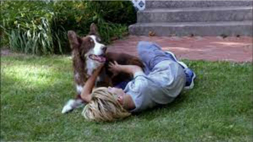 Sheeba: Guida TV  - TV Sorrisi e Canzoni