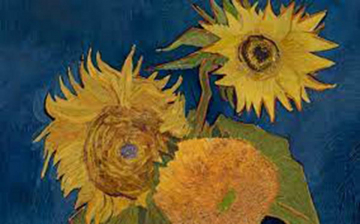 Van Gogh - I Girasoli: Guida TV  - TV Sorrisi e Canzoni