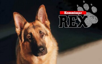 Il Commissario Rex: Guida TV  - TV Sorrisi e Canzoni