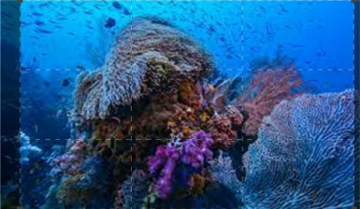 Into The Blue: Guida TV  - TV Sorrisi e Canzoni