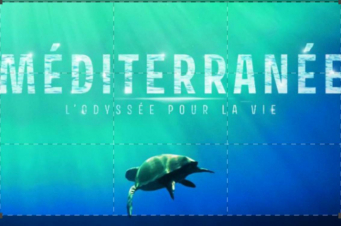 Mediterraneo: Guida TV  - TV Sorrisi e Canzoni