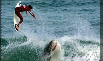 Cape Fear: Guida TV  - TV Sorrisi e Canzoni