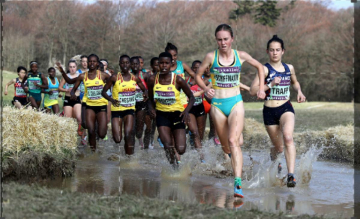 Mondiali Cross Bathurst: Guida TV  - TV Sorrisi e Canzoni