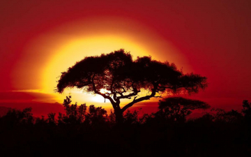 The Great Rift, il cuore selvaggio dell'Africa: Guida TV  - TV Sorrisi e Canzoni