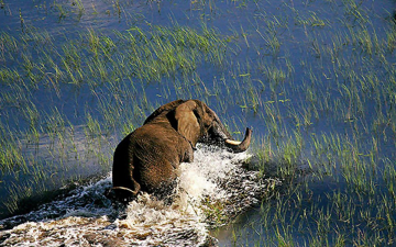 I grandi eventi della natura: Guida TV  - TV Sorrisi e Canzoni